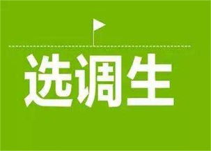 大公教育 濮陽(yáng)軍轉(zhuǎn)干考試技術(shù)推廣服務(wù)，助力退役軍人成功轉(zhuǎn)型
